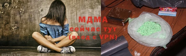 шишки Няндома