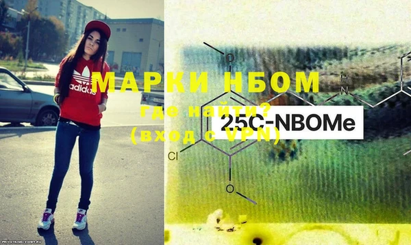 шишки Няндома