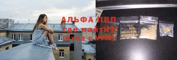 шишки Няндома