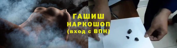 шишки Няндома