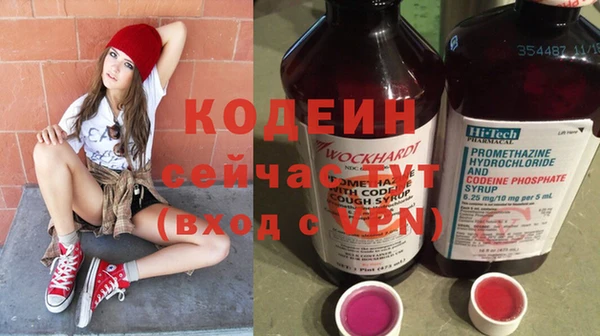 шишки Няндома