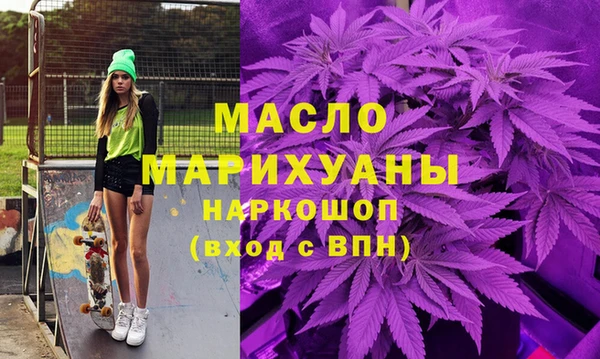 гидра Новодвинск