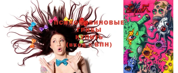 шишки Няндома