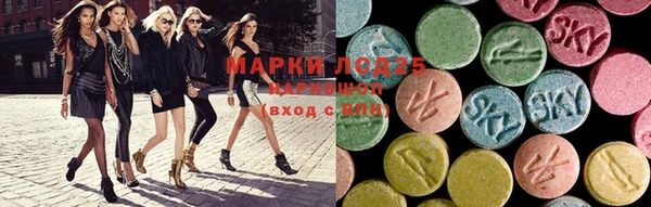 шишки Няндома