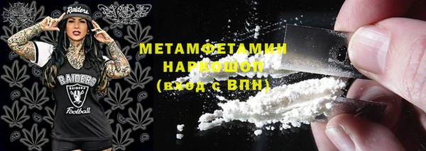 шишки Няндома