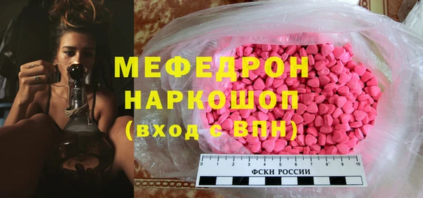 шишки Няндома
