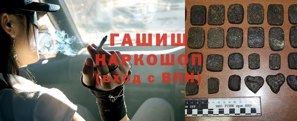 шишки Няндома