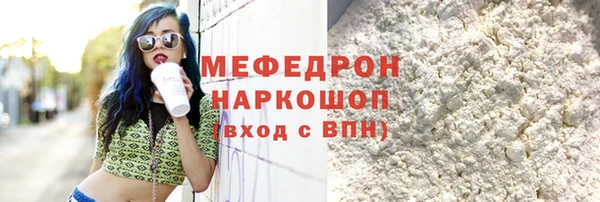 шишки Няндома