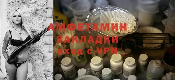 шишки Няндома