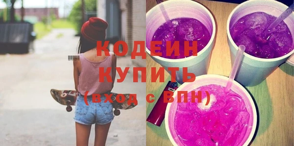 шишки Няндома