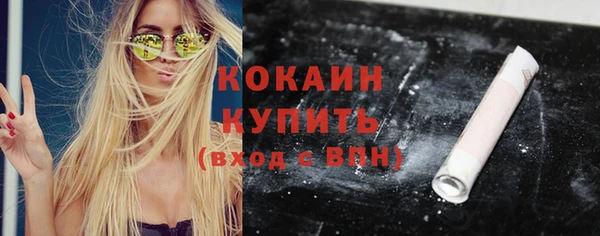 шишки Няндома