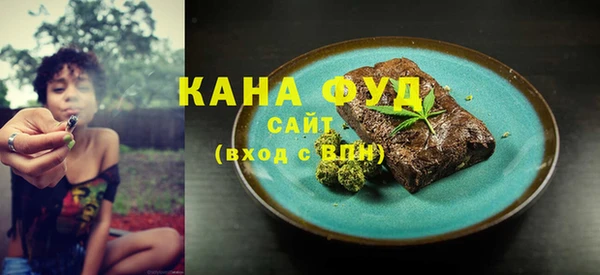 шишки Няндома
