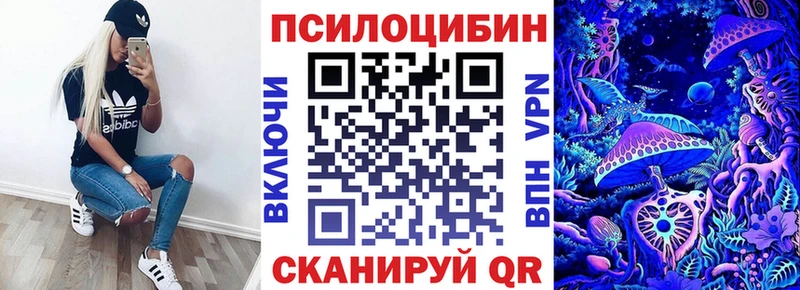 Купить закладки  Урус-Мартан  Псилоцибиновые грибы Psilocybe 